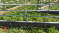 IAE 15' SHEEP FEED BARRIER - 3