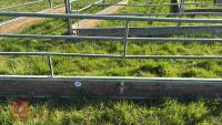 IAE 15' SHEEP FEED BARRIER - 3