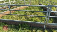 12' 1'' GATED FEED BARRIER - 4