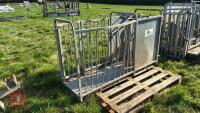 WM IRONWORKS DAGGING CRATE - 3