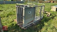 WM IRONWORKS DAGGING CRATE - 10