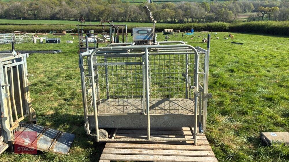 IAE GALVANISED WEIGH CRATE