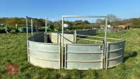 COMPLETE SHEEP HANDLING SYSTEM