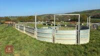 COMPLETE SHEEP HANDLING SYSTEM - 3