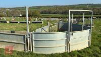 COMPLETE SHEEP HANDLING SYSTEM - 4