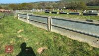 COMPLETE SHEEP HANDLING SYSTEM - 5