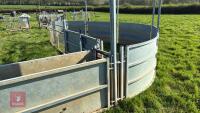 COMPLETE SHEEP HANDLING SYSTEM - 6