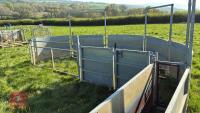 COMPLETE SHEEP HANDLING SYSTEM - 7