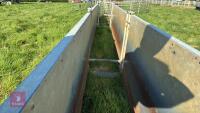 COMPLETE SHEEP HANDLING SYSTEM - 9