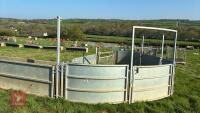 COMPLETE SHEEP HANDLING SYSTEM - 11
