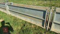 COMPLETE SHEEP HANDLING SYSTEM - 13