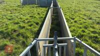 COMPLETE SHEEP HANDLING SYSTEM - 19