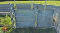 COMPLETE SHEEP HANDLING SYSTEM - 26