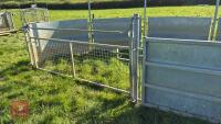 COMPLETE SHEEP HANDLING SYSTEM - 27