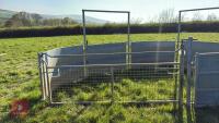 COMPLETE SHEEP HANDLING SYSTEM - 29