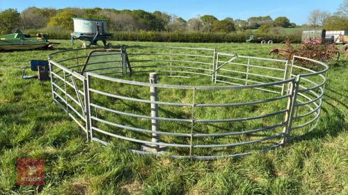 GALVANISED HOLDING/FORCING GATE