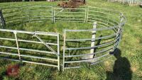 GALVANISED HOLDING/FORCING GATE - 2