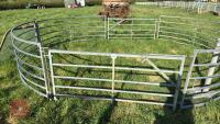 GALVANISED HOLDING/FORCING GATE - 3