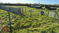 GALVANISED HOLDING/FORCING GATE - 7