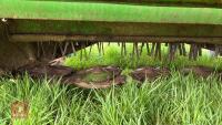 JOHN DEERE 1326 TRAILED MOWER CONDITIONER - 7