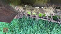 JOHN DEERE 1360 TRAILED MOWER (S/R) - 11