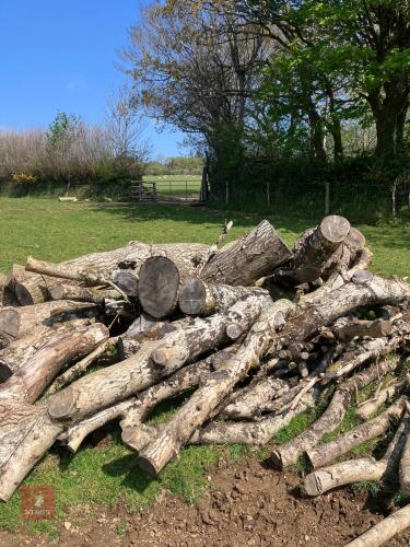 LRG QTY OF 18 MONTH SEASONED ASH