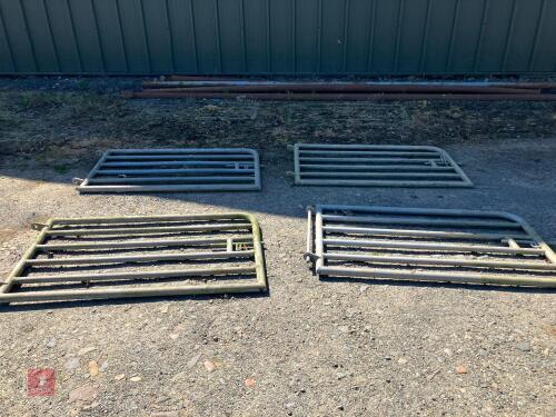 4 HEAVY DUTY SHEEP GATES