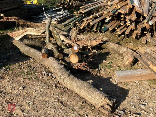 QUANTITY OF BULK TIMBER (8)