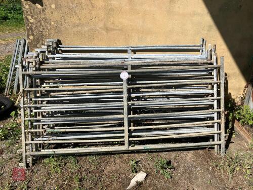 17 X 6' GALVANISED HURDLES (6)