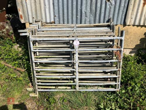 13 X 4' GALVANISED HURDLES (8)