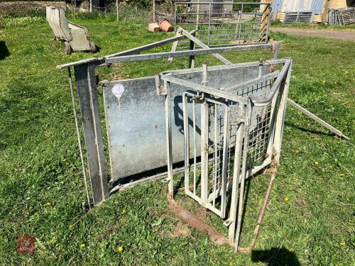 2 GALV RACE SHEDDING GATES (17)