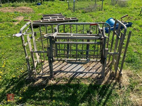 GALVANISED SHEEP TURN-OVER CRATE (19)