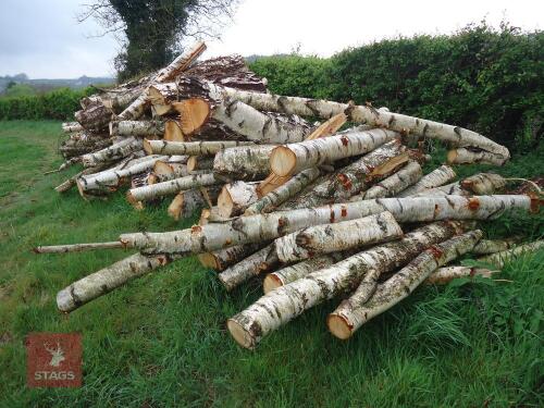 SILVER BIRCH WOOD