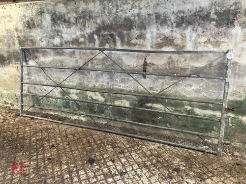 10' GALVANISED FIELD GATE (116)