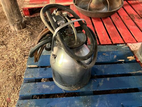 SS DUMP BUCKET & CLUSTERS