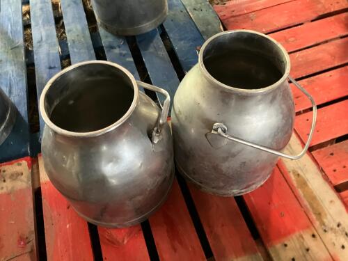 2 SS DUMP BUCKET - NO LID (2)