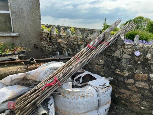 2 BUNDLES OF BAMBOO CANES (31)