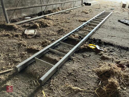 14' ALUMINIUM LADDER (90)