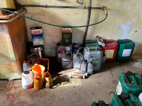 SELECTION OF OILS & JUGS (117)