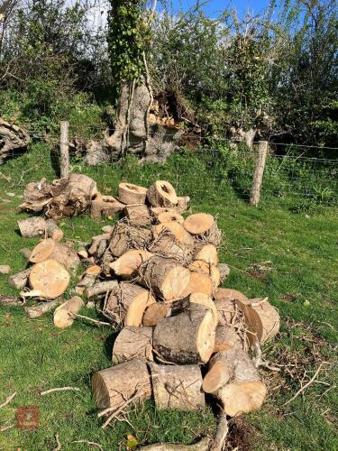 MEDIUM HEAP OF ASH RINGS