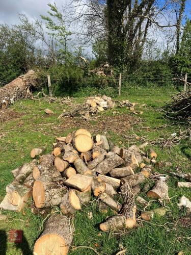 SMALL HEAP OF ASH RINGS