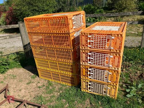 10 GIORDANO POULTRY CRATES