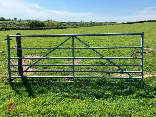 10' GALVANSIED FIELD GATE