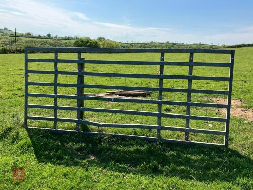 10' GALVANISED CATTLE GRID