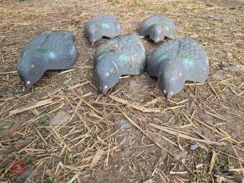 DECOYS