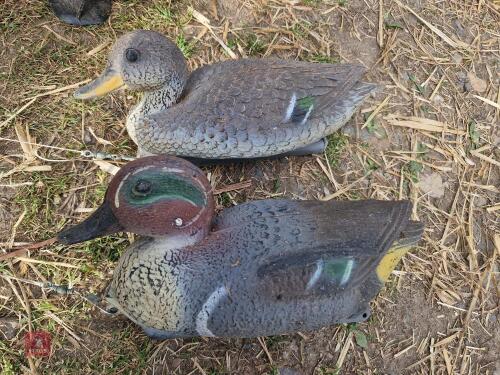 DUCK DECOYS