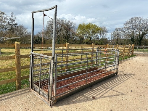 10' X 3' GALVANISED SHEEP FOOT BATH