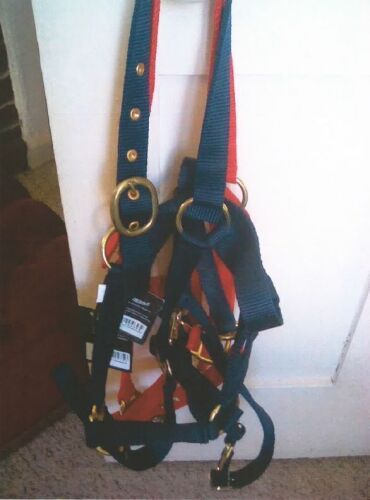 3 PONY HALTERS