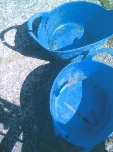 2 FEED BOWLS