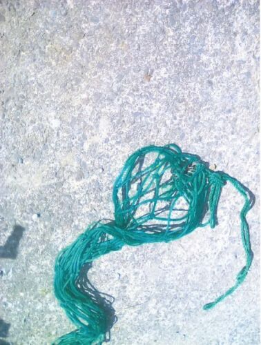 1 HAY NET